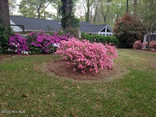 903 E Woodlawn Drive, Williamston, NC 27892