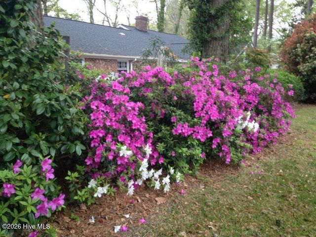 903 E Woodlawn Drive, Williamston, NC 27892