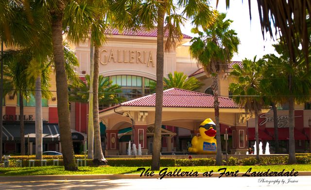 114 NE 16TH Terrace, Fort Lauderdale, FL 33301