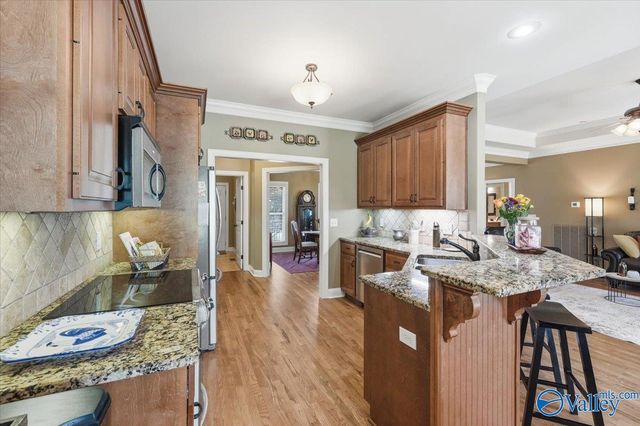 307 Sunnyslope Trail, Madison, AL 35757