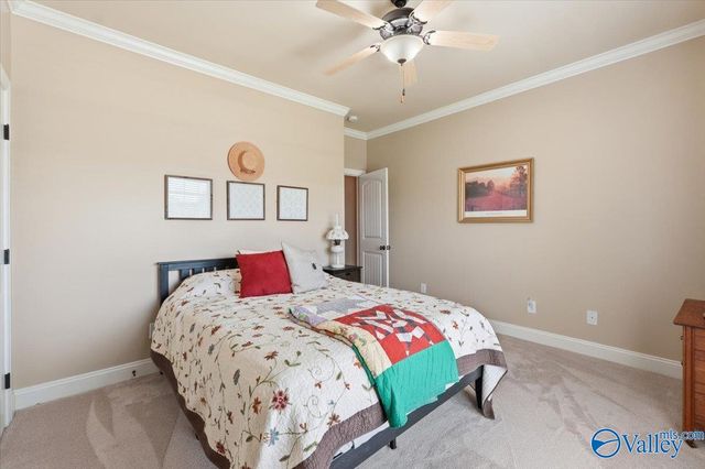 307 Sunnyslope Trail, Madison, AL 35757
