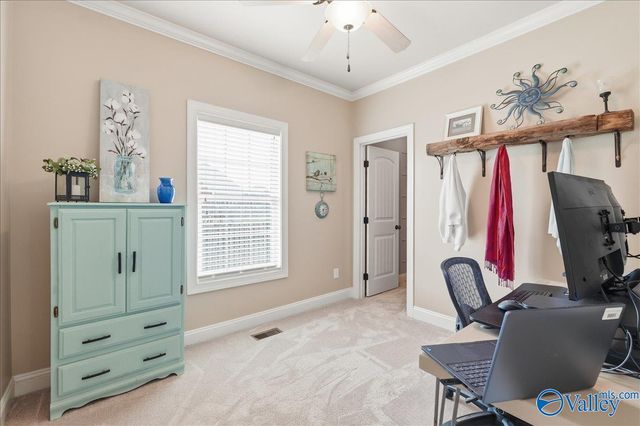 307 Sunnyslope Trail, Madison, AL 35757