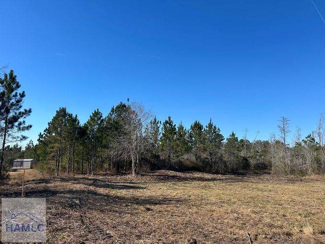 Lot 11 Firetower Road, Ludowici, GA 31316