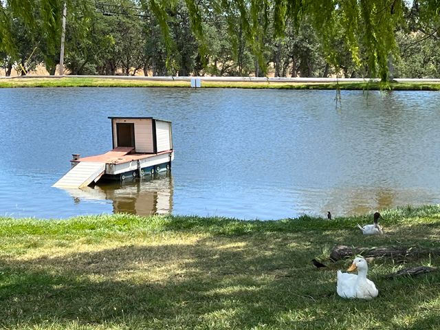 22095 Azulejo Place, Cottonwood, CA 96022