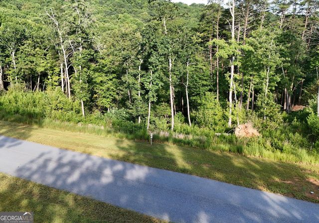 0 Waterfall Lane, Sautee Nacoochee, GA 30571