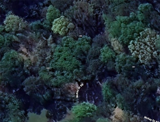 0 McKay SE Drive, Atlanta, GA 30315