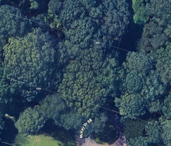 0 McKay SE Drive, Atlanta, GA 30315