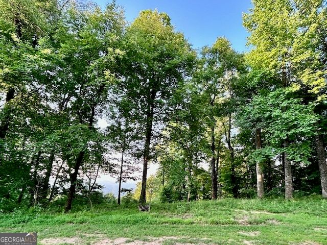 0 Mountainside Drive LOT 17, Cleveland, GA 30528
