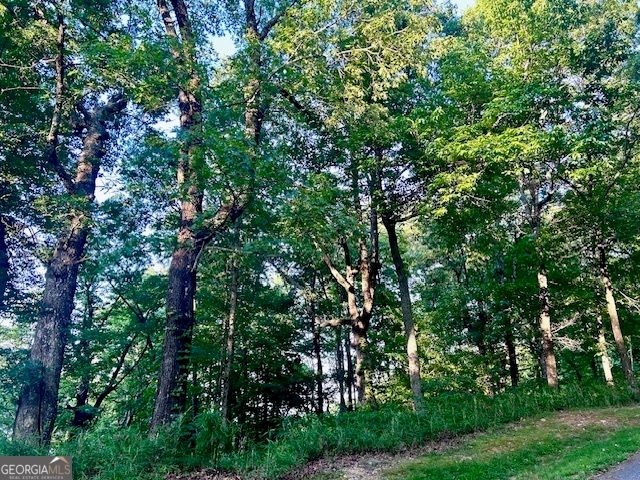 0 Mountainside Drive LOT 17, Cleveland, GA 30528