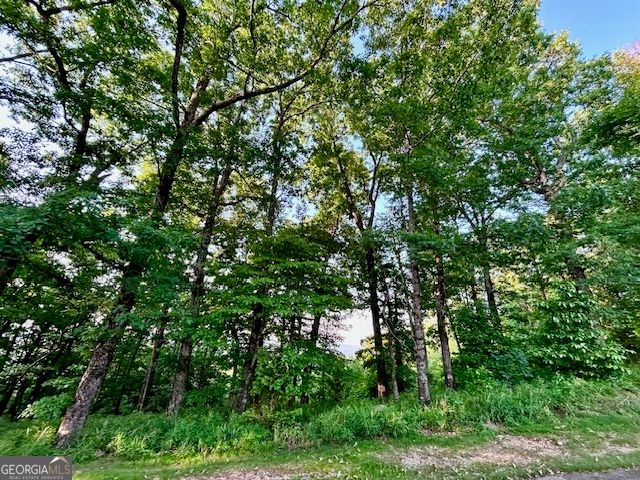0 Mountainside Drive LOT 17, Cleveland, GA 30528
