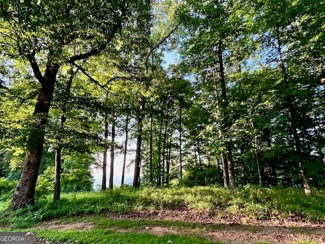 0 Mountainside Drive LOT 17, Cleveland, GA 30528