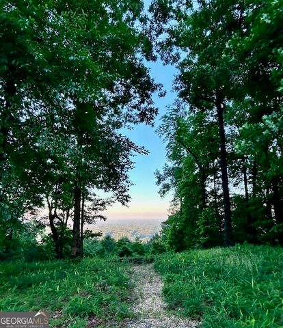 0 Mountainside Drive LOT 17, Cleveland, GA 30528