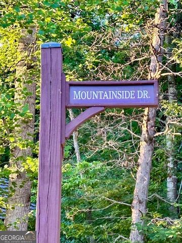 0 Mountainside Drive LOT 17, Cleveland, GA 30528