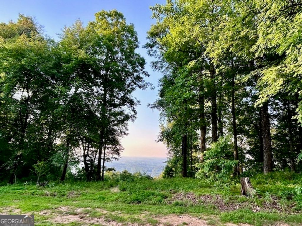 0 Mountainside Drive LOT 17, Cleveland, GA 30528