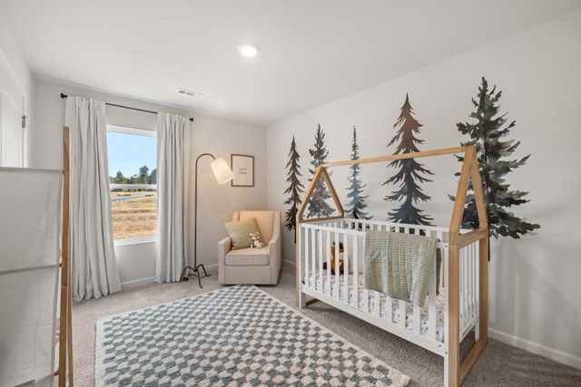 118 Hughes Place Drive, Dawsonville, GA 30534