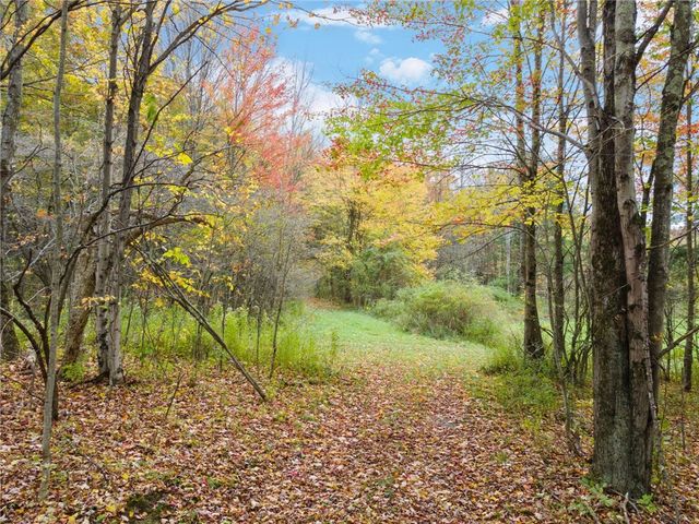 734 Post Road, Franklin, NY 13775