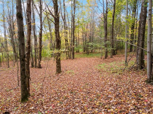 734 Post Road, Franklin, NY 13775