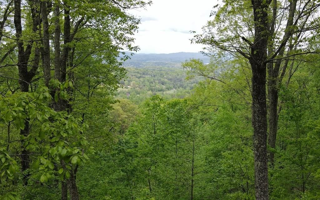 lot 118 Croft Mountain Road, Blairsville, GA 30512