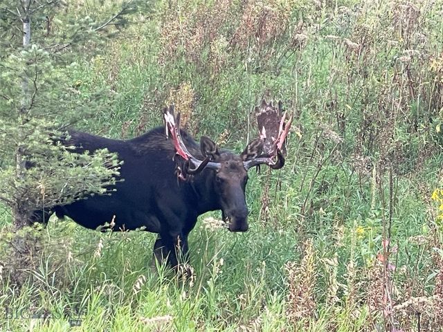 182 Elk Ridge Road, Livingston, MT 59047