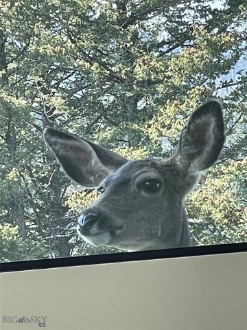 182 Elk Ridge Road, Livingston, MT 59047