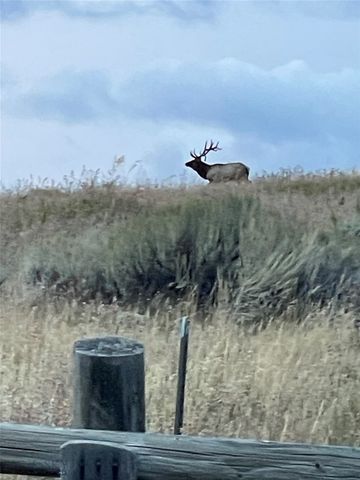 182 Elk Ridge Road, Livingston, MT 59047