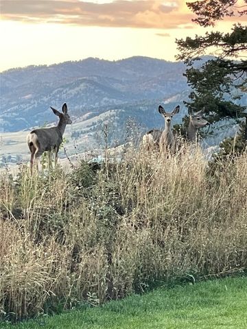 182 Elk Ridge Road, Livingston, MT 59047