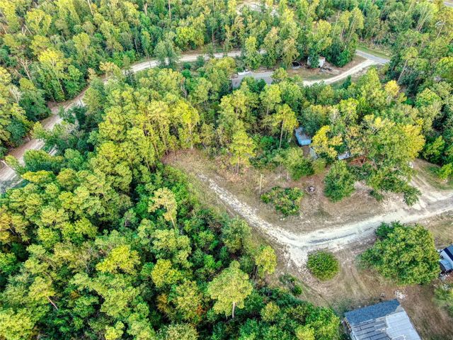 184 Willow Drive, Onalaska, TX 77360