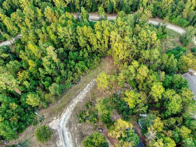 184 Willow Drive, Onalaska, TX 77360