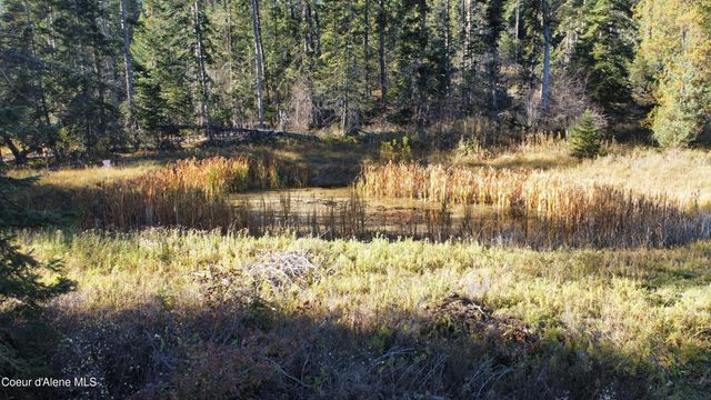 1428 W Elkhorn Meadows Rd, Fernwood, ID 83830