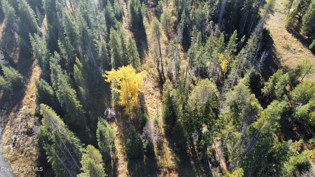 1428 W Elkhorn Meadows Rd, Fernwood, ID 83830