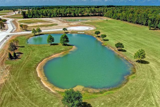 2418 Emerie Arbor Lane, Hockley, TX 77447