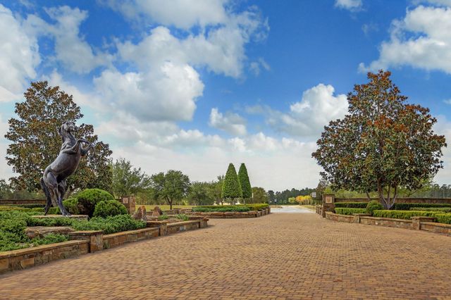 2418 Emerie Arbor Lane, Hockley, TX 77447