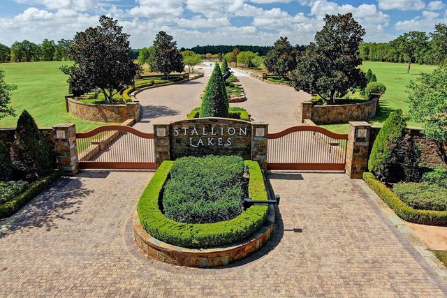 2418 Emerie Arbor Lane, Hockley, TX 77447