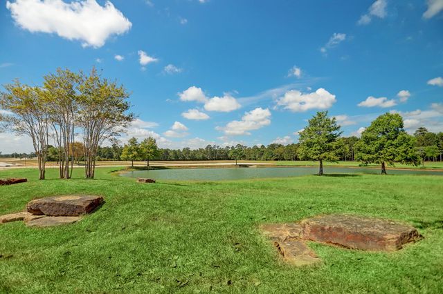 2418 Emerie Arbor Lane, Hockley, TX 77447