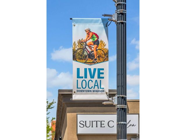 26 Main St, Windsor, CO 80550