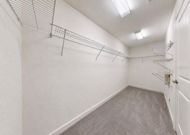 10005 SAGE CREEK DRIVE, Ruskin, FL 33573