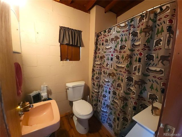 101 Doe St, Hartsel, CO 80449