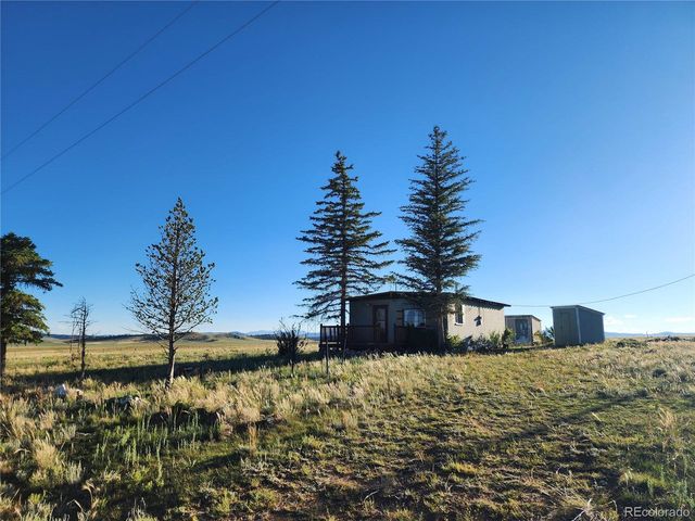 101 Doe St, Hartsel, CO 80449