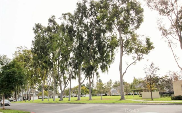 141 Greenfield, Irvine, CA 92614