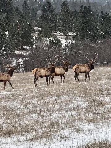 1424 N Idaho Rd, Liberty Lake, WA 99019