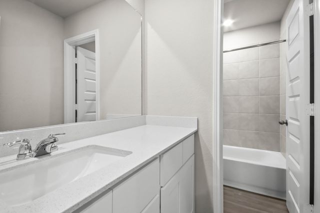 13773 Sunshine Peak Drive, Willis, TX 77318