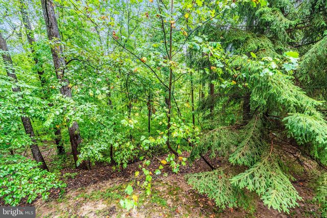6838 MOUNTAIN CHURCH RD, Middletown, MD 21769