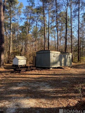 12479 Sullivan Ln, Clinton, LA 70722