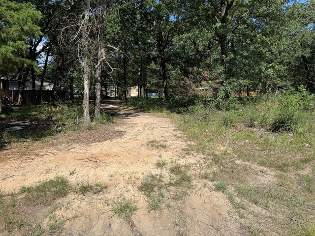 0 Mohican Trail, Mabank, TX 75156