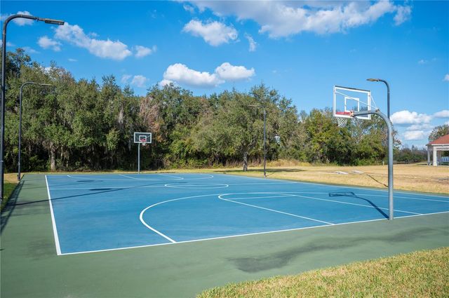 3387 FIDDLE LEAF WAY, Lakeland, FL 33811