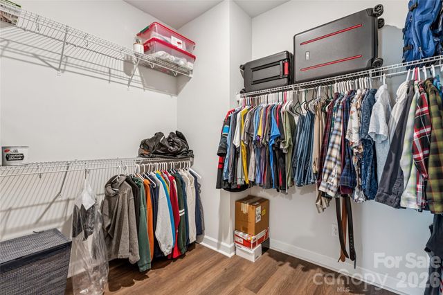 3013 Striped Maple Court, Charlotte, NC 28215