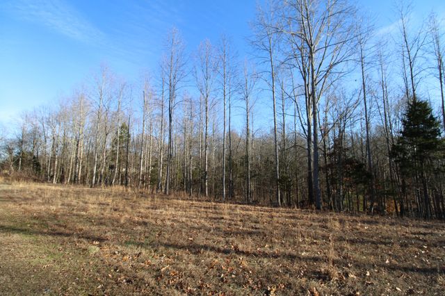 142 Keytown Rd, Portland, TN 37148