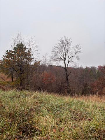 64 Becky Jane Road, Frenchburg, KY 40322