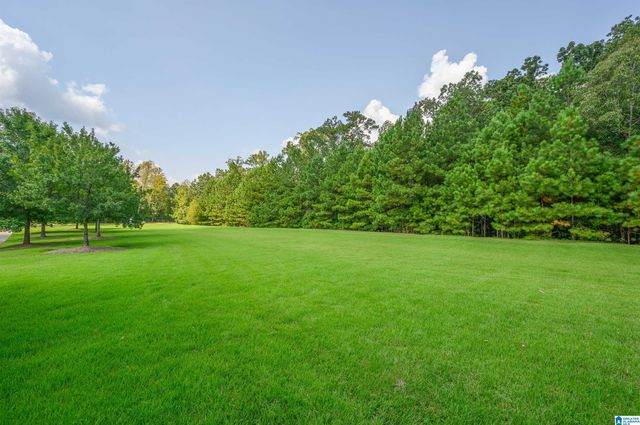 6072 ENGLISH VILLAGE LANE, Birmingham, AL 35242