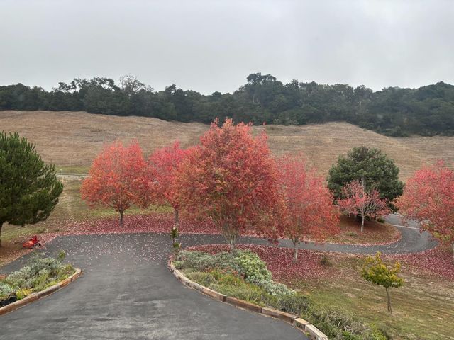 20160 Rock Springs Lane, Aromas, CA 95004